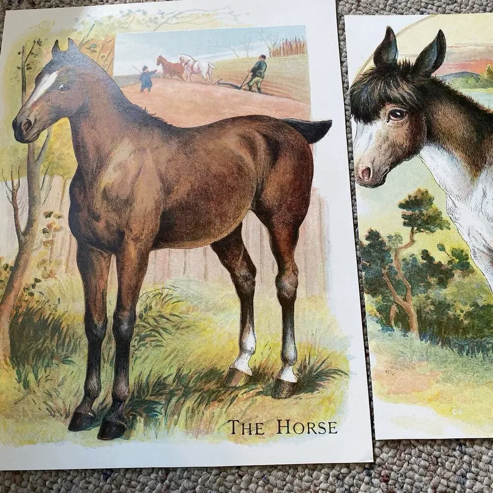 Lot of 2 Vintage Farm Animals Postcards Double Side Printed Cow Reindeer Horse